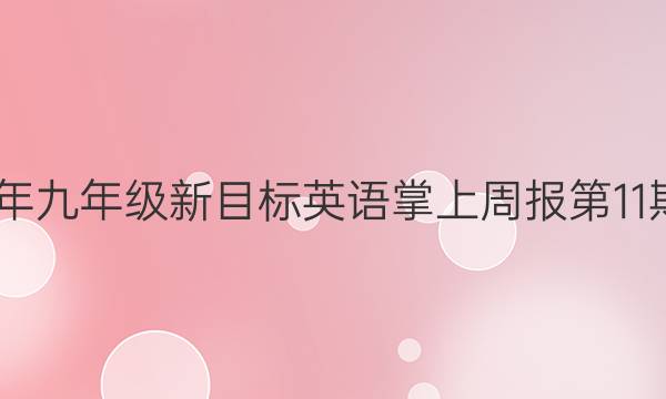 2022年九年级新目标英语掌上周报第11期答案