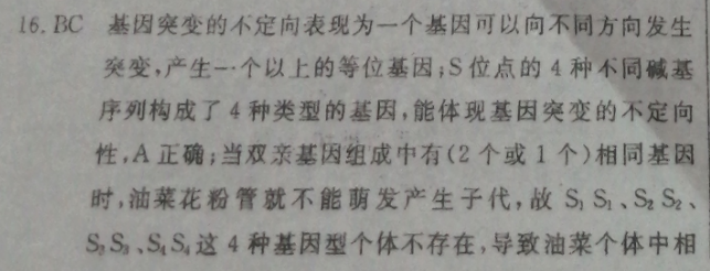 image.png@!test