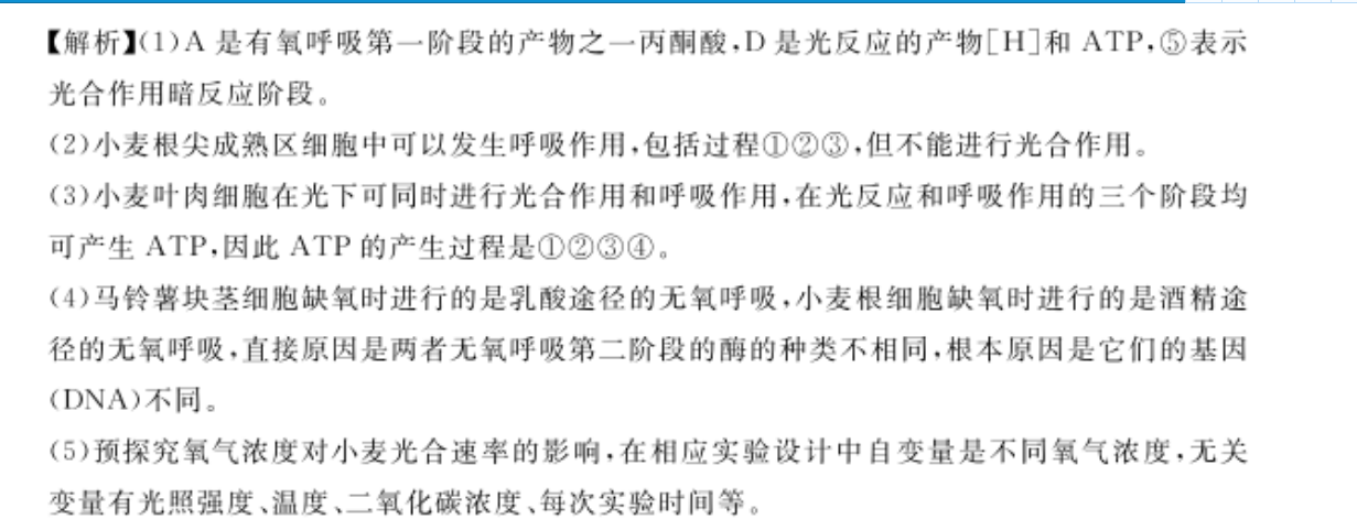 image.png@!test