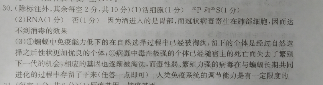 image.png@!test