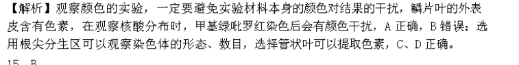 image.png@!test