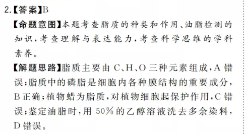 image.png@!test