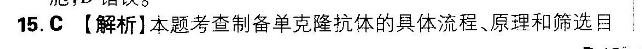 image.png@!test