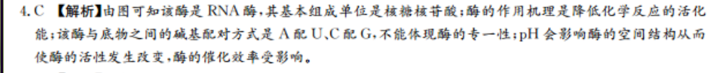 image.png@!test