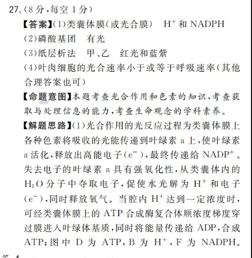 image.png@!test