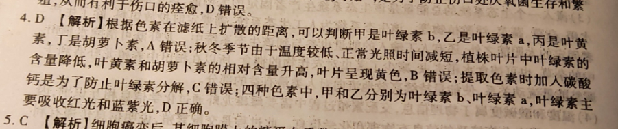 image.png@!test