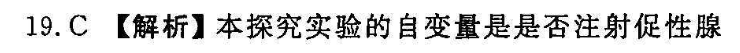 image.png@!test