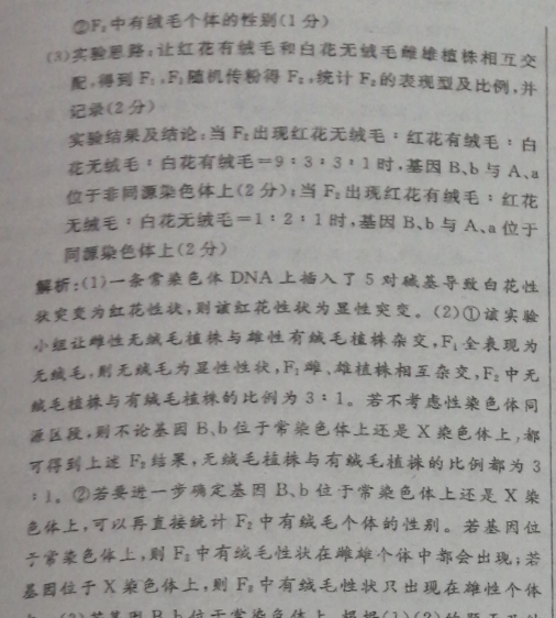 image.png@!test