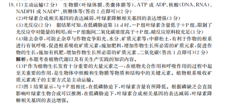 image.png@!test
