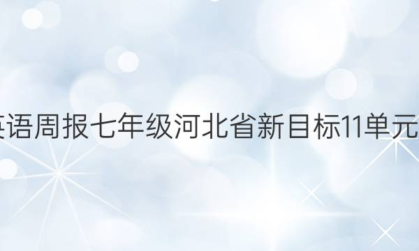 2022英语周报七年级河北省新目标11单元45答案