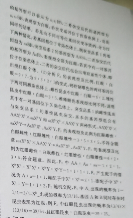 image.png@!test
