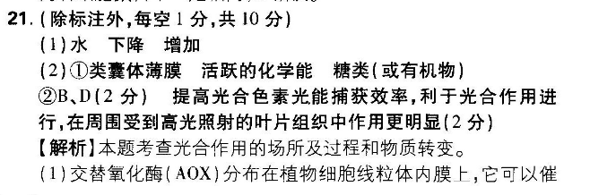 image.png@!test
