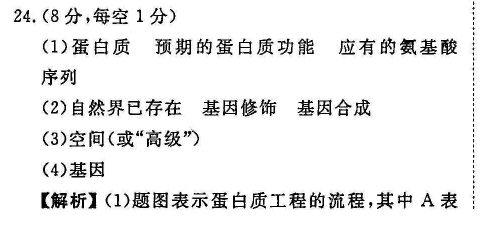 高三外研英语第十一期周报答案