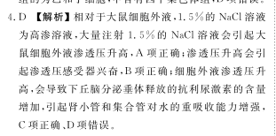 image.png@!test