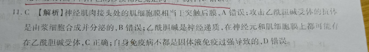 2021-2022 英语周报 高三 高考 24答案
