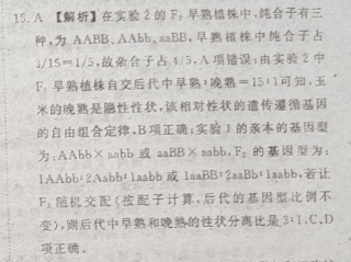 image.png@!test
