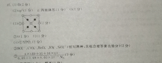 2022英语周报28期高三答案图片