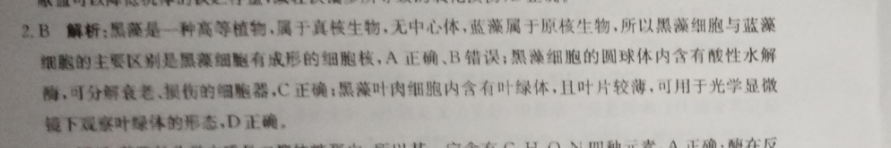 2022英语周报新课程答案图片
