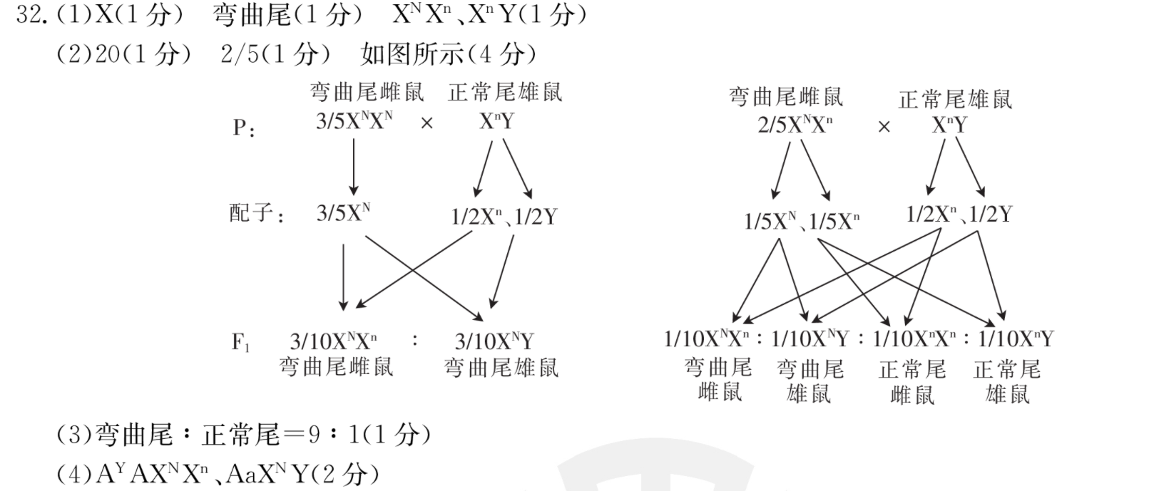 2021-2022英语周报初一上册22期答案图片