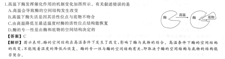 八年级下册英语周报scc合刊答案