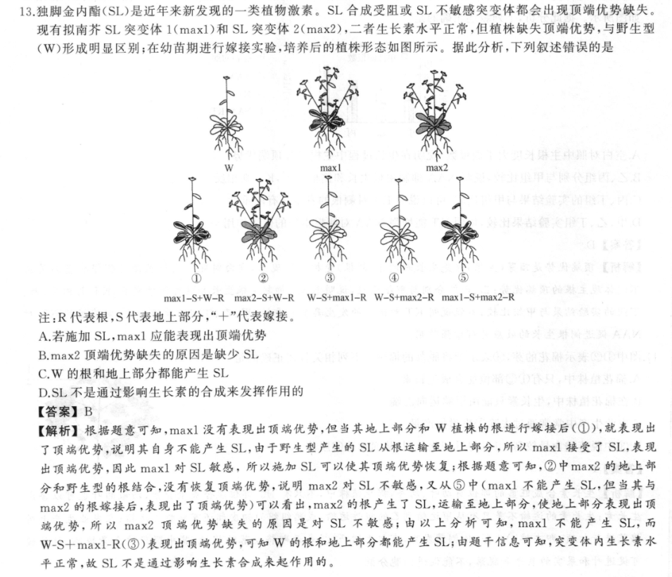 image.png@!test