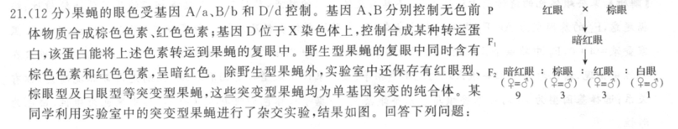 英语周报八年级上册19期答案