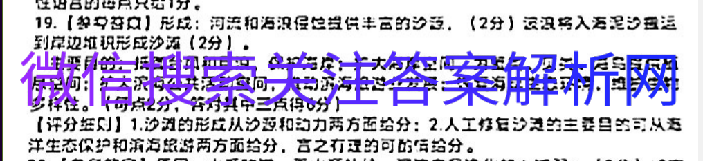 ͬӢ2021оͼƬ