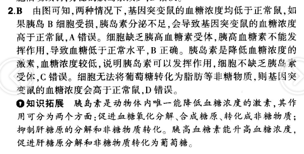 突变鼠的血糖浓度均低于正常鼠,如果胰岛b细胞受损,胰岛素分泌不足,会