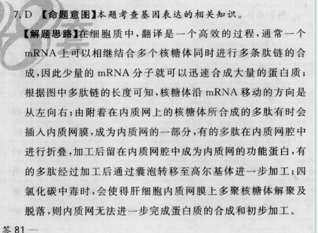 2022屆全國(guó)100所名校高考模擬金典卷物理（四）答案-第2張圖片-全國(guó)100所名校答案網(wǎng)