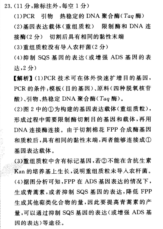 2022屆全國100所名校高考模擬金典卷·英語(一)答案-第2張圖片-全國100所名校答案網(wǎng)