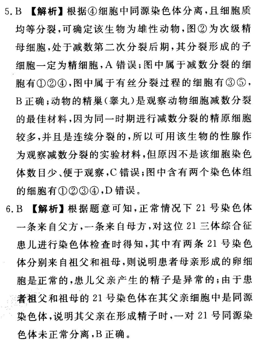 2022屆全國(guó)100所名校高考模擬金典卷 語(yǔ)文 十二答案-第2張圖片-全國(guó)100所名校答案網(wǎng)