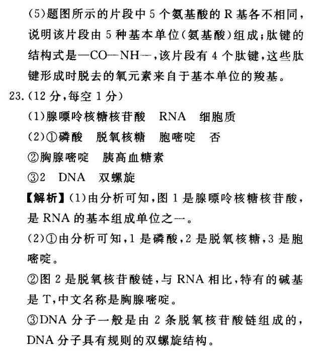 2022屆全國100所名校高考模擬金典卷·化學 FJ答案-第2張圖片-全國100所名校答案網(wǎng)