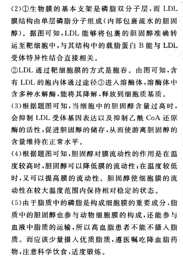 2022全國100所名校高考模擬金典卷英語y1答案-第2張圖片-全國100所名校答案網(wǎng)