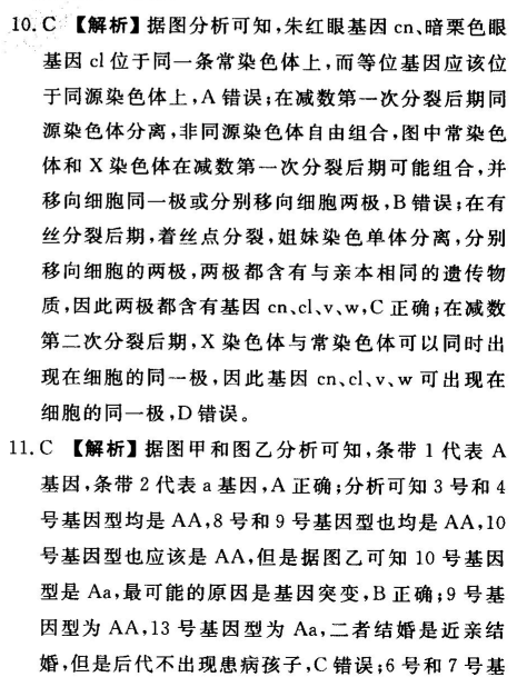 2022屆全國100所名校高考模擬金典卷19JDZH 理科綜合Y答案-第2張圖片-全國100所名校答案網(wǎng)