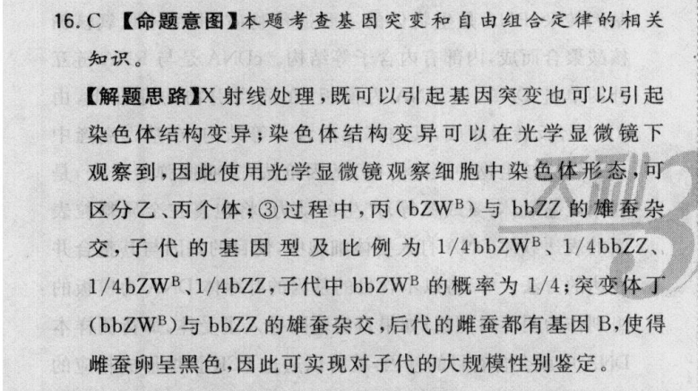 2022屆全國100所名校高考模擬金典卷·語文（ 十二）答案-第2張圖片-全國100所名校答案網(wǎng)