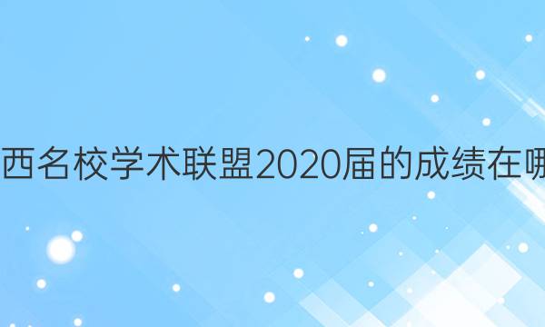 2022江西名校学术联盟2020届的成绩在哪查答案