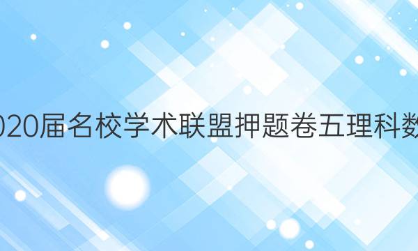 20222020届名校学术联盟押题卷五理科数学答案