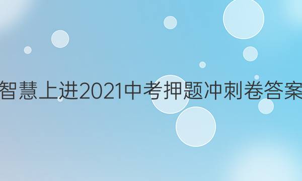 智慧上进2021中考押题冲刺卷答案