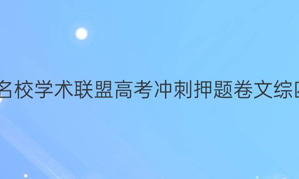 2022名校学术联盟高考冲刺押题卷文综四答案