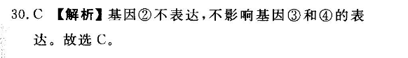 image.png@!test