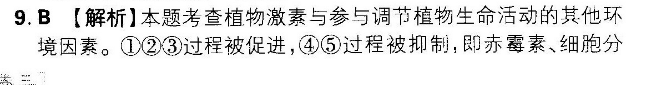 image.png@!test