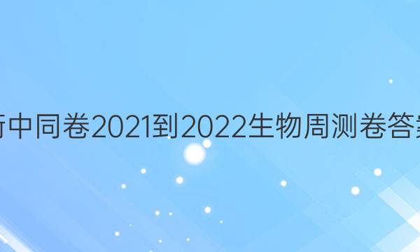 衡中同卷2021-2022生物周测卷答案