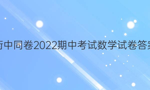 衡中同卷2022期中考试数学试卷答案