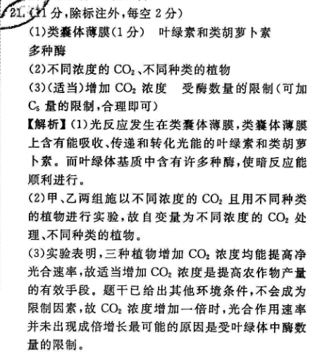 2022七年级下册英语周报新目标36期答案