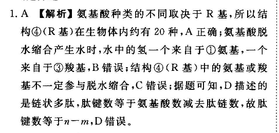 八年级新目标第八期英语周报，2021-2022学年答案