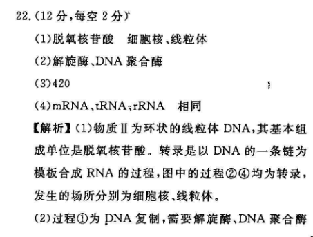 2022 英语周报 高考 提升版第13期答案