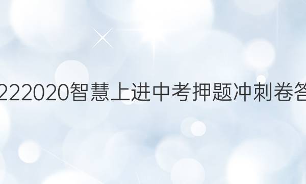 20222020智慧上进中考押题冲刺卷答案