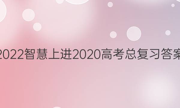 2022智慧上进2020高考总复习答案
