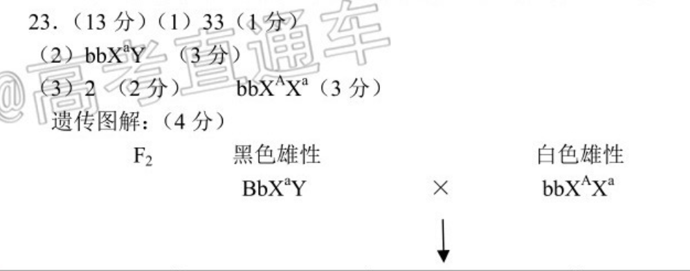 2022-2023英语周报新目标第四期答案