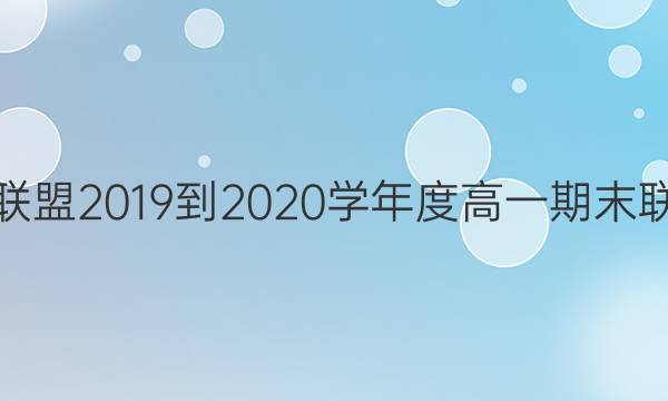 金太陽畢節(jié)八校聯(lián)盟2019-2020學(xué)年度高一期末聯(lián)合考試化學(xué)答案